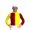 Jockey Silk