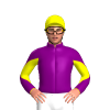 Jockey Silk