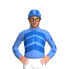 Jockey Silk