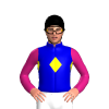 Jockey Silk