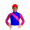 Jockey Silk