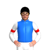 Jockey Silk