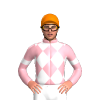 Jockey Silk