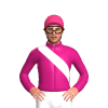 Jockey Silk