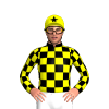 Jockey Silk