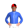 Jockey Silk