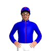 Jockey Silk