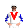 Jockey Silk
