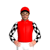 Jockey Silk