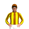 Jockey Silk