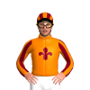 Jockey Silk