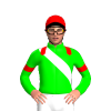 Jockey Silk