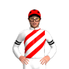 Jockey Silk