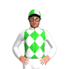 Jockey Silk