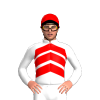 Jockey Silk