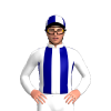 Jockey Silk