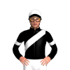 Jockey Silk