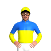 Jockey Silk