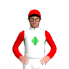 Jockey Silk