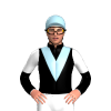 Jockey Silk