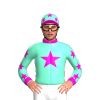 Jockey Silk