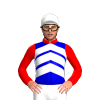 Jockey Silk