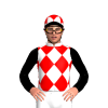 Jockey Silk