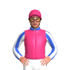 Jockey Silk