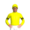 Jockey Silk