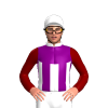 Jockey Silk