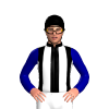 Jockey Silk