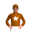 Jockey Silk