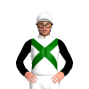 Jockey Silk