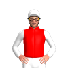 Jockey Silk