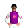 Jockey Silk