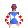 Jockey Silk