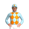 Jockey Silk