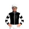 Jockey Silk