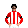 Jockey Silk