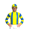 Jockey Silk