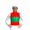 Jockey Silk