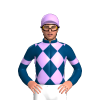 Jockey Silk