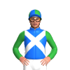Jockey Silk