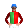 Jockey Silk