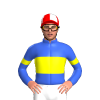 Jockey Silk