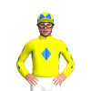 Jockey Silk