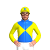 Jockey Silk