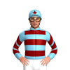 Jockey Silk
