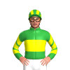 Jockey Silk