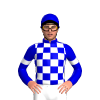 Jockey Silk